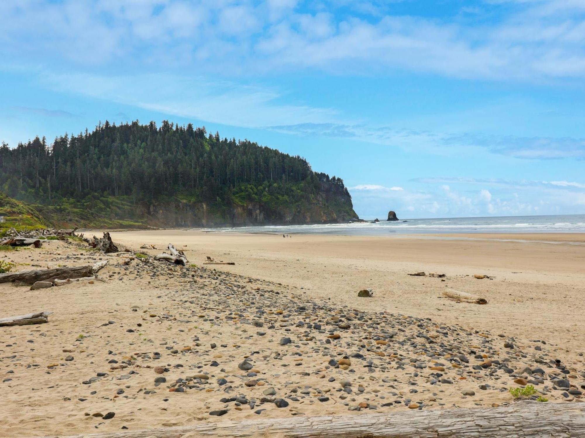 Woods Waves: Luxury Coast Cabin King Beds Pets Tillamook Eksteriør billede