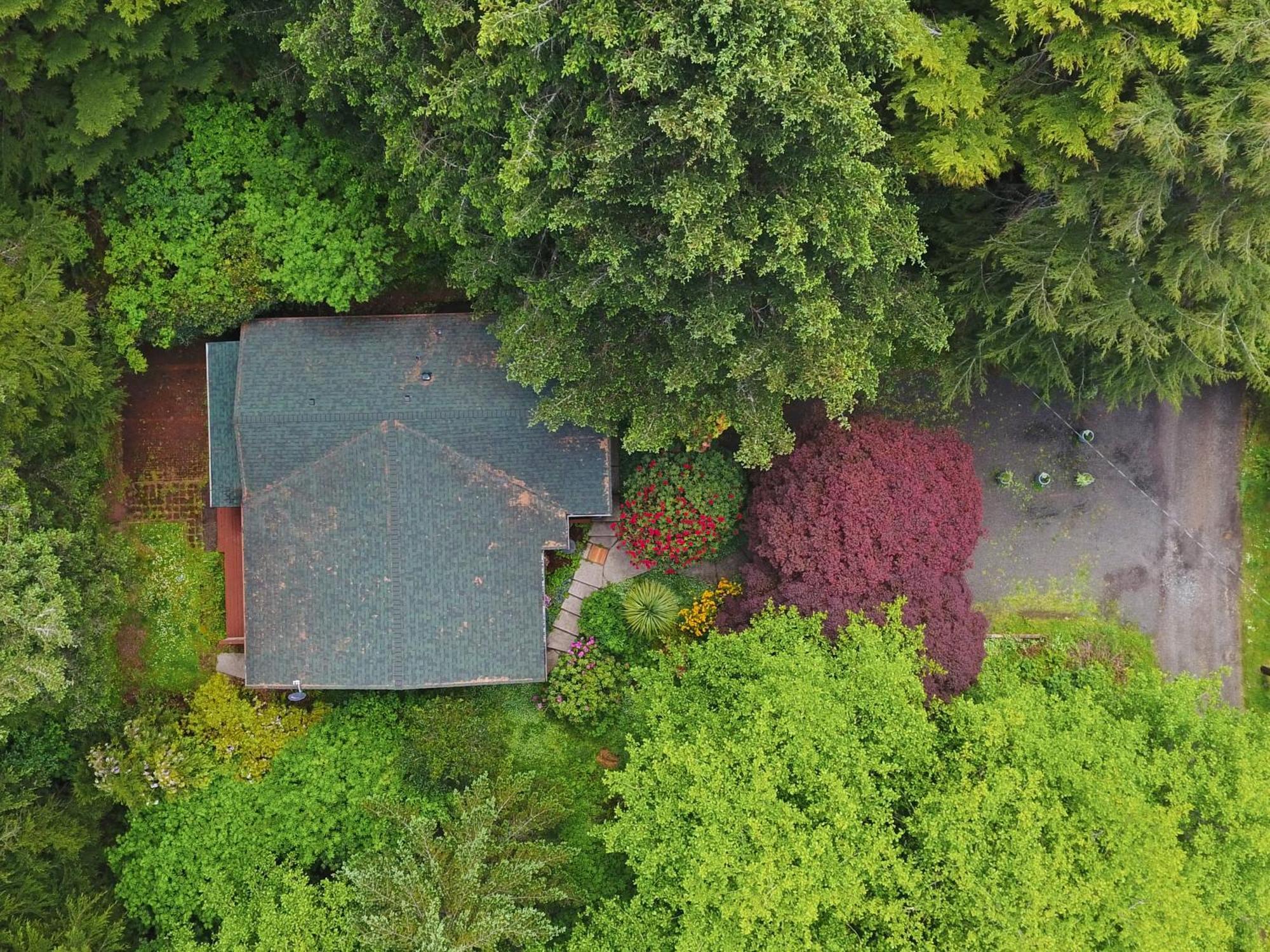 Woods Waves: Luxury Coast Cabin King Beds Pets Tillamook Eksteriør billede